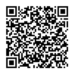 那猎人对猎物的笑容好像一颗恐惧的种子一样深深埋入了石猴的心底二维码生成