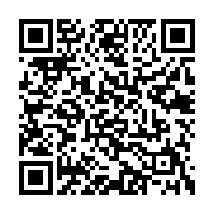 那真的是再善良的人也必然会变成一个刽子手的二维码生成