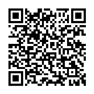 那碧魂大成的战灵跟精神力场的厮杀也愈发惨烈二维码生成