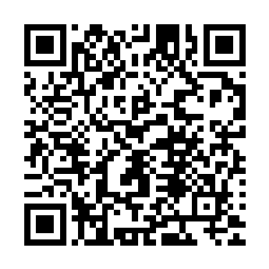 那祥老似乎也看到了杨晨和赵羽二人和他一起同归于尽的样子二维码生成