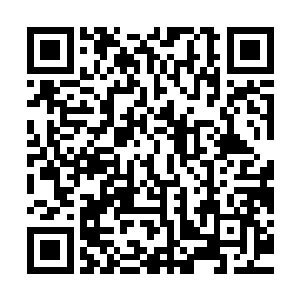 那种属于柏林的肃穆和冷清还是在连绵起伏的线条之中缓缓晕开二维码生成