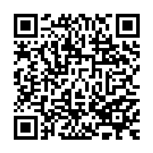 那种感觉和他当初在那黄泥路上见到的第一个泥胎的感觉很像二维码生成