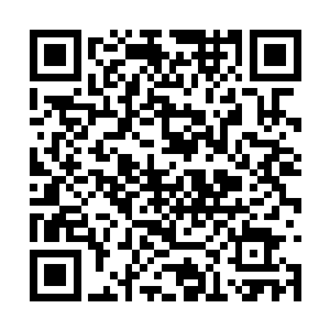 那种洪荒一样的气息给他带来了完全不一样的感受二维码生成