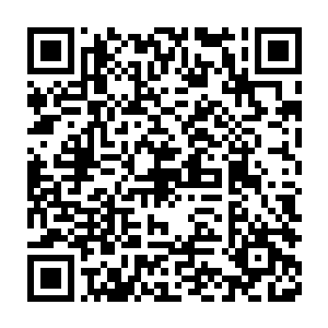 那管事知道沐阳花上已经出现有浅浅的脉络后就知道它离结果不远了二维码生成
