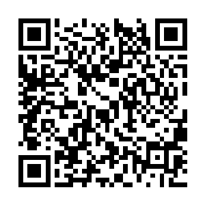 那组成血色大手的无边血水立时化为血色烟气消失二维码生成