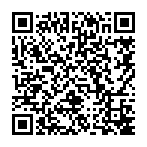 那给了他们无尽伤害和恐惧的防护阵法在这一刻根本就没有任何的启动二维码生成