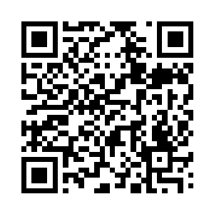 那缤纷桃花瓣一落入根部就化为花泥二维码生成