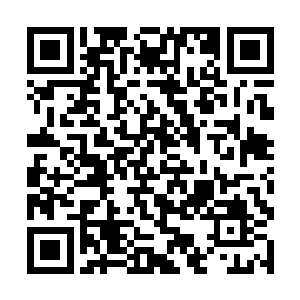 那股强大生命力就是从雷天的元力之海中渗透出来的二维码生成