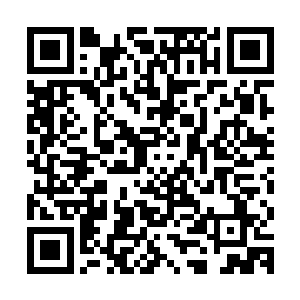 那荷官隔着墨镜似乎都可以感觉到秦方的眼神之中透出来的杀机二维码生成