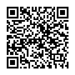 那蝎子听完怀柔的话后既然开始朝着这个姑娘身上爬去二维码生成