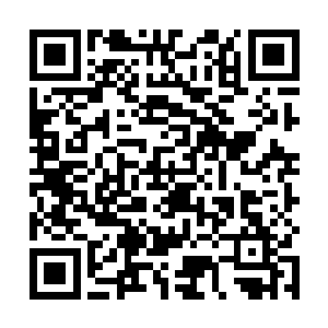 那被九风撞出去和被原战扔到旁边的两少年伤得并不重二维码生成