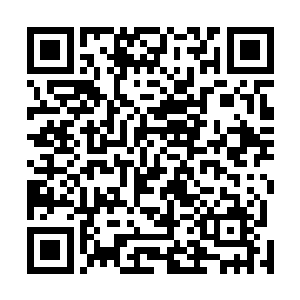那被称为刘山的仙吏则领命从院子的一角搬来了一张木椅二维码生成