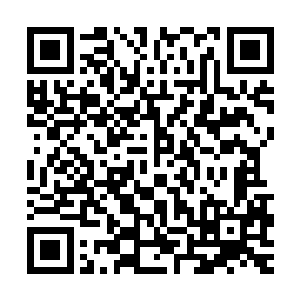 那被金发男子雷击得遍体鳞伤的蓝发男子早已恢复了身上的伤势二维码生成