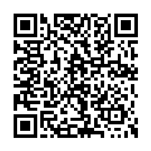 那许紫烟的身影更是在他的心田深深地扎下了根二维码生成