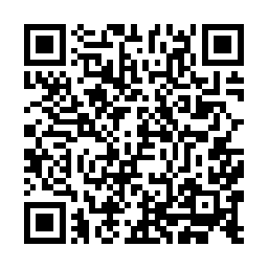 那边可是金梁先生啊……濮灵眼神中很有些着急意动二维码生成