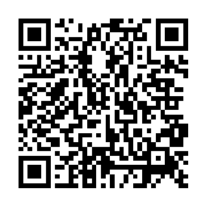 那这个……我去试衣服间看一下我衣服穿正了没有……二维码生成