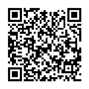 那道浅浅的沟壑还隐隐约约出现在白振东的视野里二维码生成