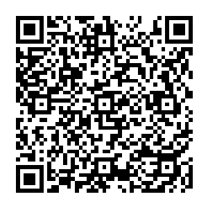 那闹出的动静会引来更多变异的七阶魔兽以及一些同样变成它们这般摸样的人类圣王二维码生成