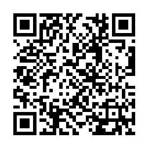 那雷电也开始迅速在这些金属性妖兽之中蔓延开来二维码生成