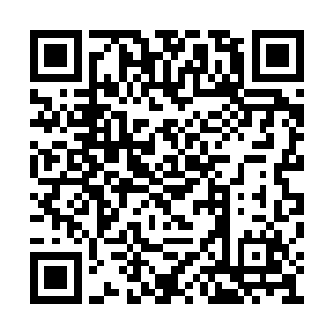 那非很大方地立刻让奴隶送来一笼还活着的兔子二维码生成