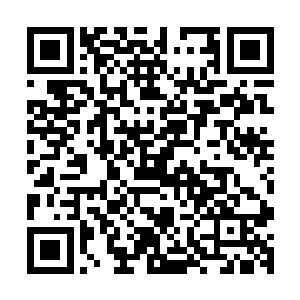 那领着杨开来到这里的中年人和叫柯蒙的武者简单地交谈一阵二维码生成