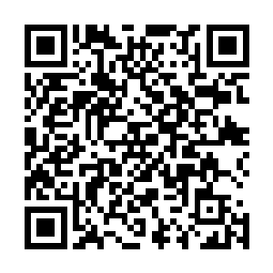 那骑着避水金晴兽的男子已经直接从避水金晴兽上冲天而起二维码生成