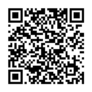 那龙蟒此刻张开血盆大嘴疯狂的朝着我们撕咬而来二维码生成