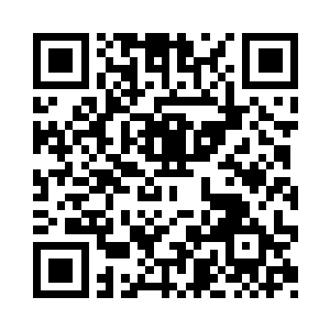 邱五就将一个黄色档案袋塞给了张生二维码生成