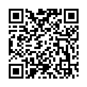 邵玄则带着那份手记回去继续研究云纹二维码生成