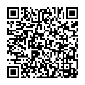 郑明堂由于紧张前倾的身体直到新闻联播播完都没有重新倚回沙发靠背上二维码生成