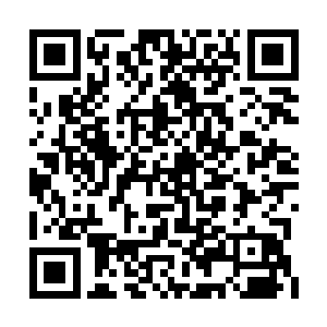 郑欣欣一脸自豪的对身后的赵长枪和谢兰兰说道二维码生成