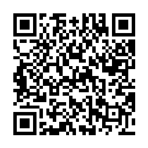 郑玉莲和昨天先回来的白爱晓天不明就赶到李福来家了二维码生成