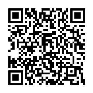 郭兰没有想到堂姐的同事居然是在岭西日报工作二维码生成
