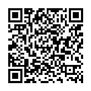 都可以隔绝房间里的声音外泄和外面骑士精神力的探查二维码生成