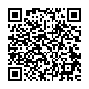 都因为陆为民这个乡镇企业量化改制方案的出现而变得混乱起来二维码生成
