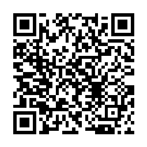 都寄托着他们当年战斗时袍泽们死去后留下的灵魂二维码生成