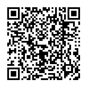 都感觉空空如也的脑子里被塞进了一团团五彩斑斓仿佛万花筒一般的数据碎片二维码生成
