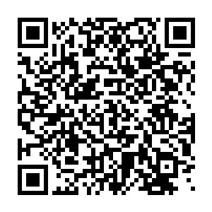 都是属于实力比较靠前的强横高手……当然也肯定是至尊境强者的二维码生成