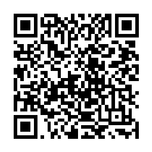 都是经过三圣宗花费了无数的心血培养出来的杀人武器二维码生成