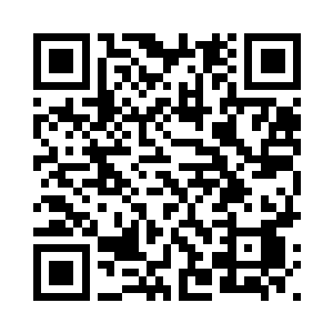 都是记载着武魂力的一些基础知识二维码生成