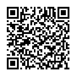 都是随机降临到一个普通人的身上进行降临夺舍二维码生成