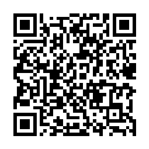 都是靠着一些年轻的忍者出行执行任务然后各自挣回来的二维码生成