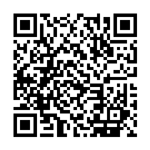 都有一次机会可以无偿在剑藏一层内挑选一门功法二维码生成