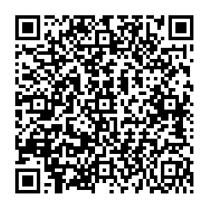 都有些不敢相信眼前镜子中的那个整个人看起来英气勃发却又含而不露的英俊美少年居然是自己二维码生成