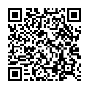 都被他在老人的安排挨家挨户的分发给了整个村子里的住户们二维码生成