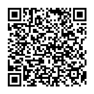 都被各自腕带中不停刷新的强制接受的最高级别的血红新闻震懵了~二维码生成
