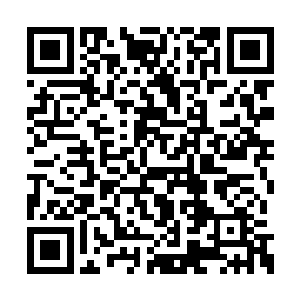 都被吴岩运转五行圣元诀不疾不徐的吸收炼化着二维码生成