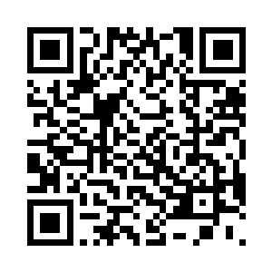 都被秦方以超强的攻击力彻底的打碎了二维码生成