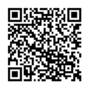 都说这位新任市委书记是岭南大学历史系毕业的二维码生成