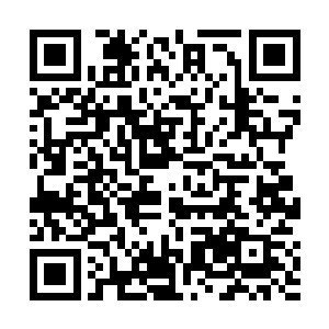 都隐藏在那黄金螺旋和那个数列所包含的宇宙法则之中二维码生成